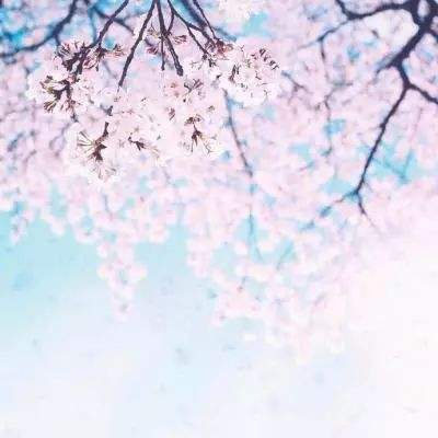 长生幻影果盘版下载